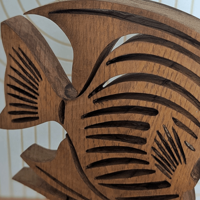 Poisson en robinier faux acacia